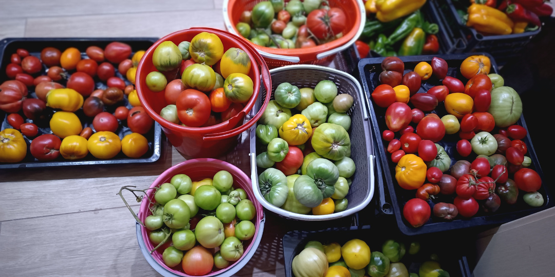 "Вкусный" сезон- 2025