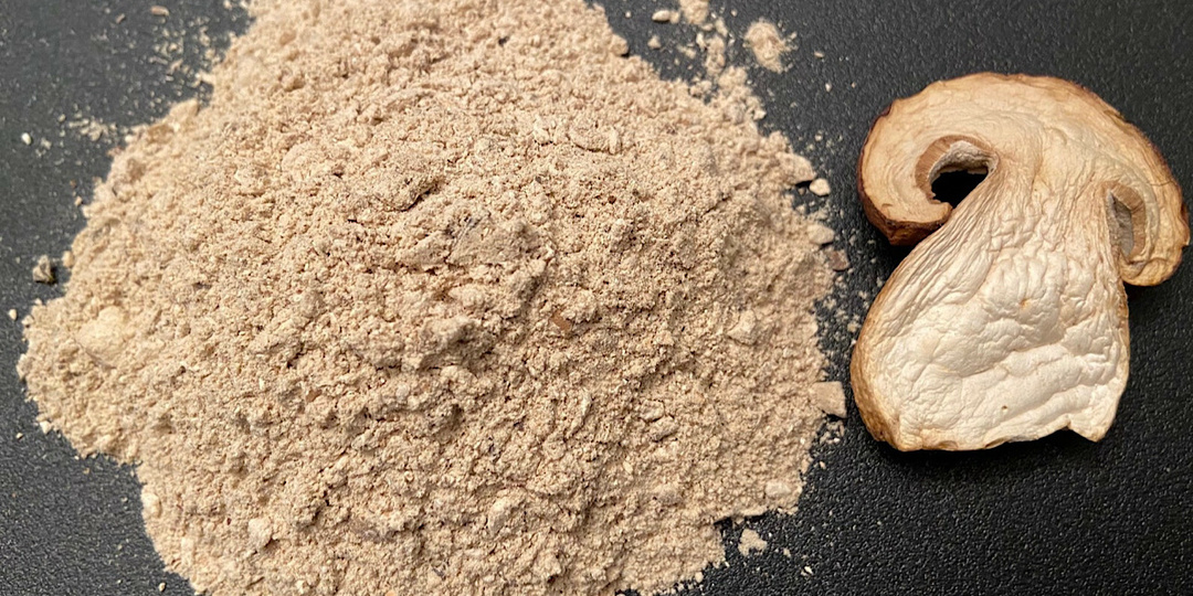 Пудра из белых грибов: секрет ароматных блюд зимой