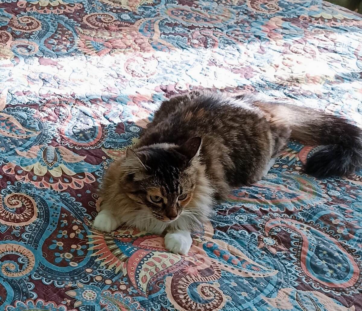 Зло не дремлет! Никогда!))) 