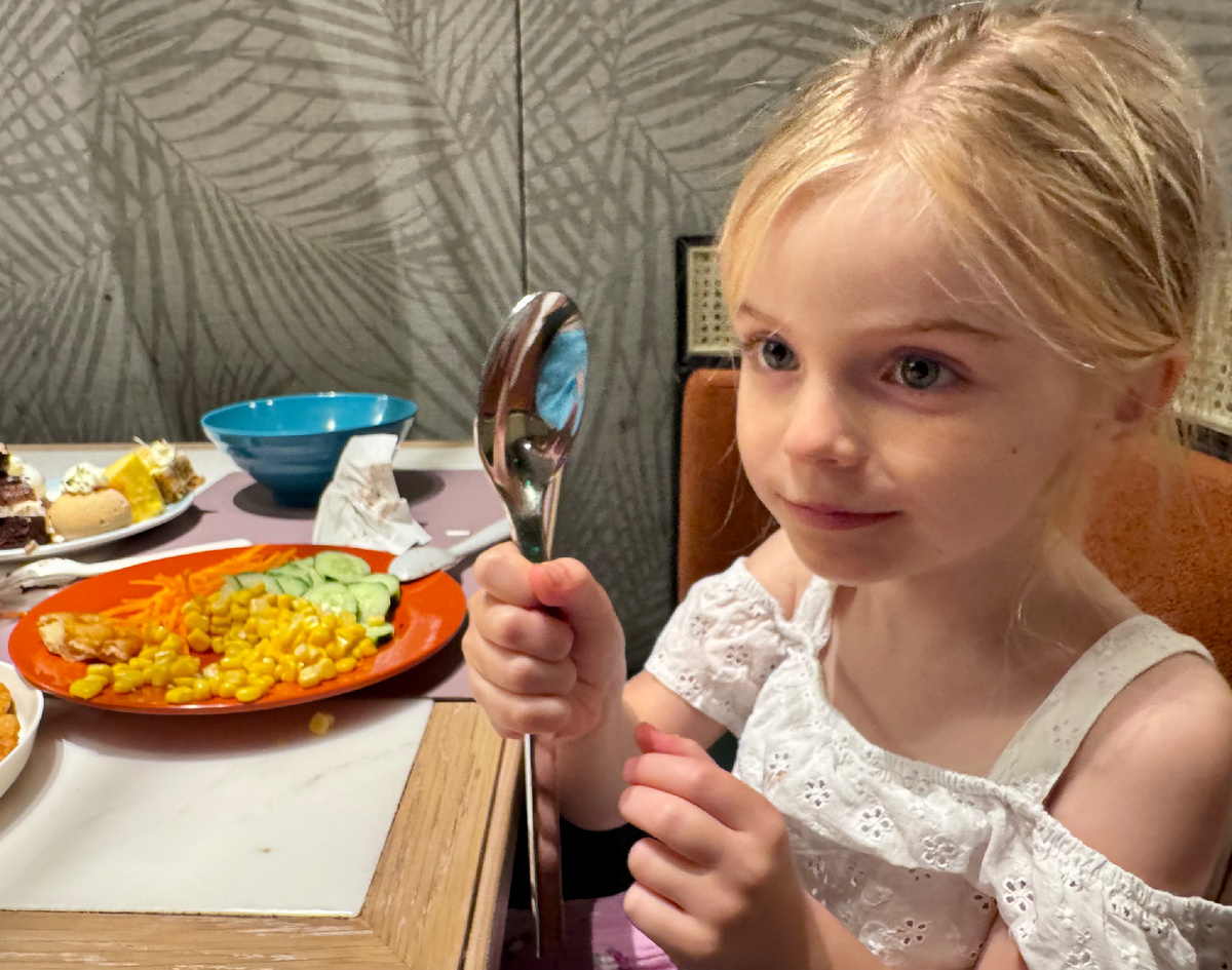 Китайская ложка 