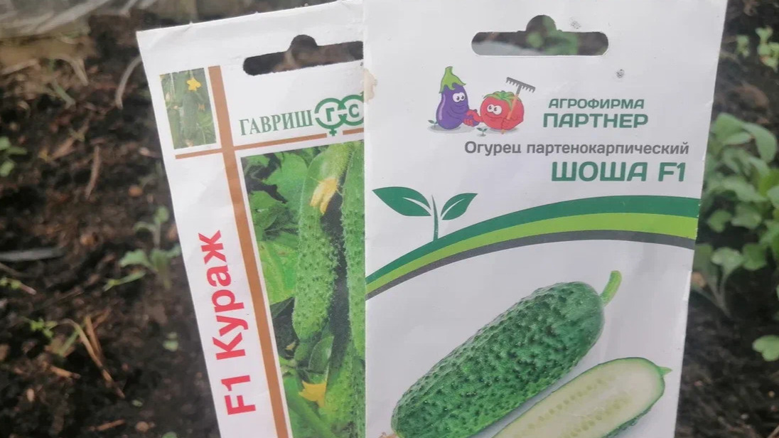 Ищите такие отметки на упаковках - это важный признак