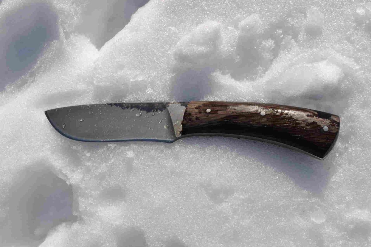 Фото взято из открытых источников