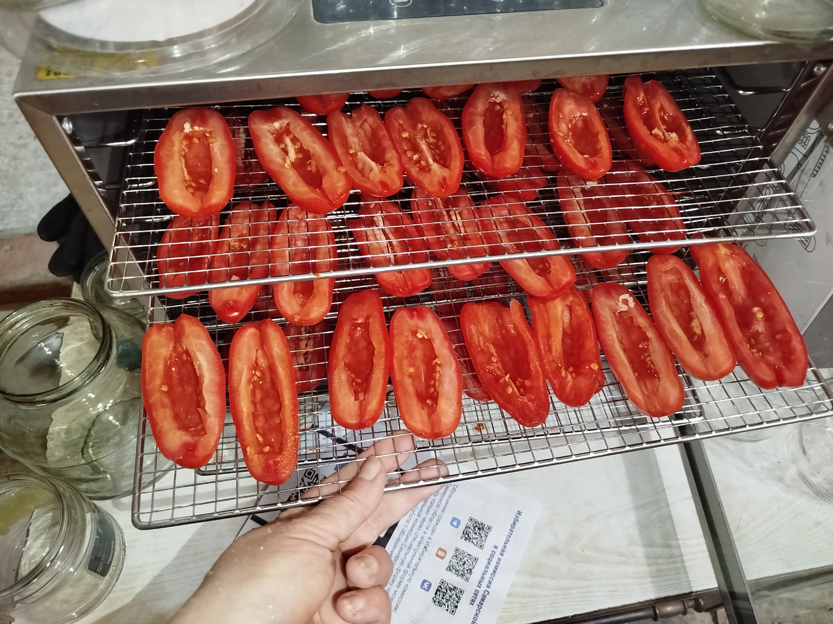 Отправила на вяление