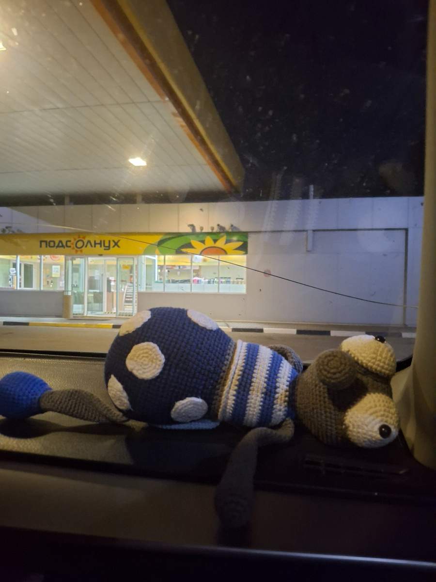 Фото автора канала