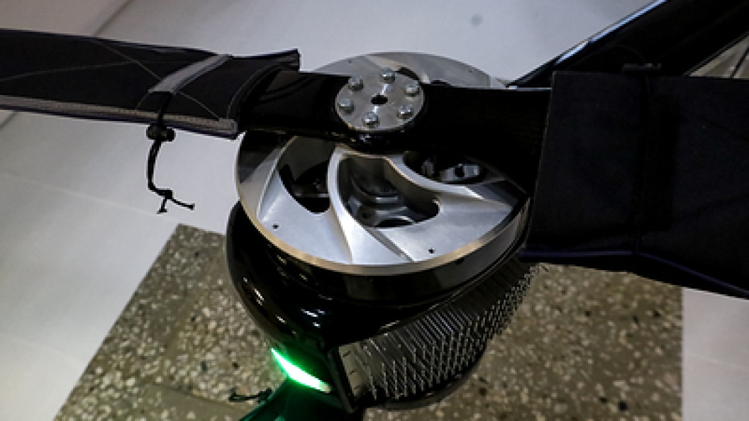    Elena Mayorova//Globallookpress