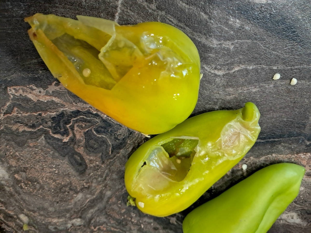 Испорченный перец