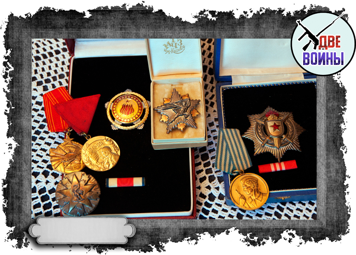 Награды Джоко. Фото в свободном доступе.