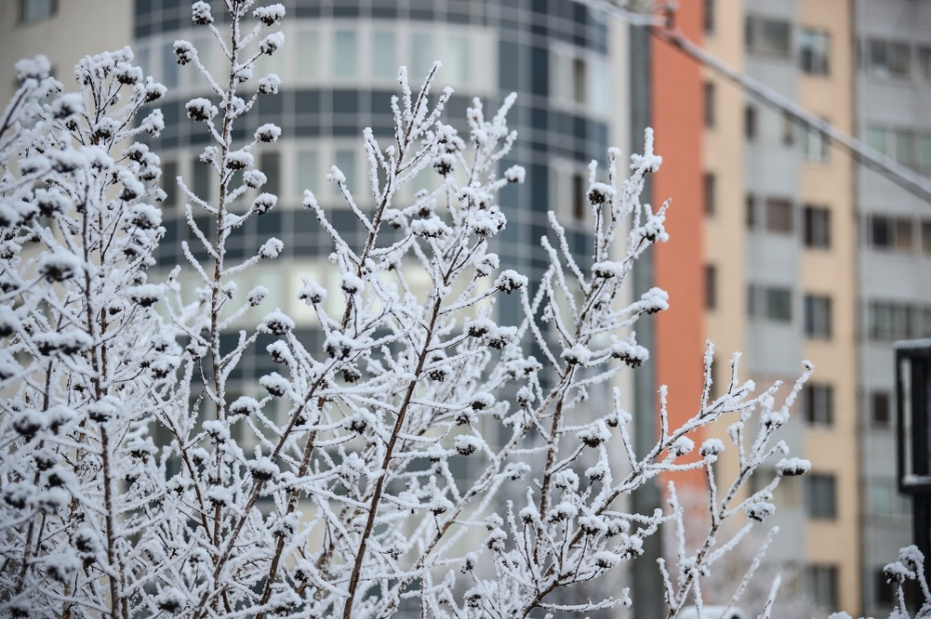    Сергей Лантюхов/NEWS.RU
