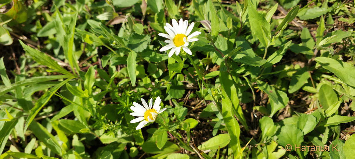 Фото автора канала