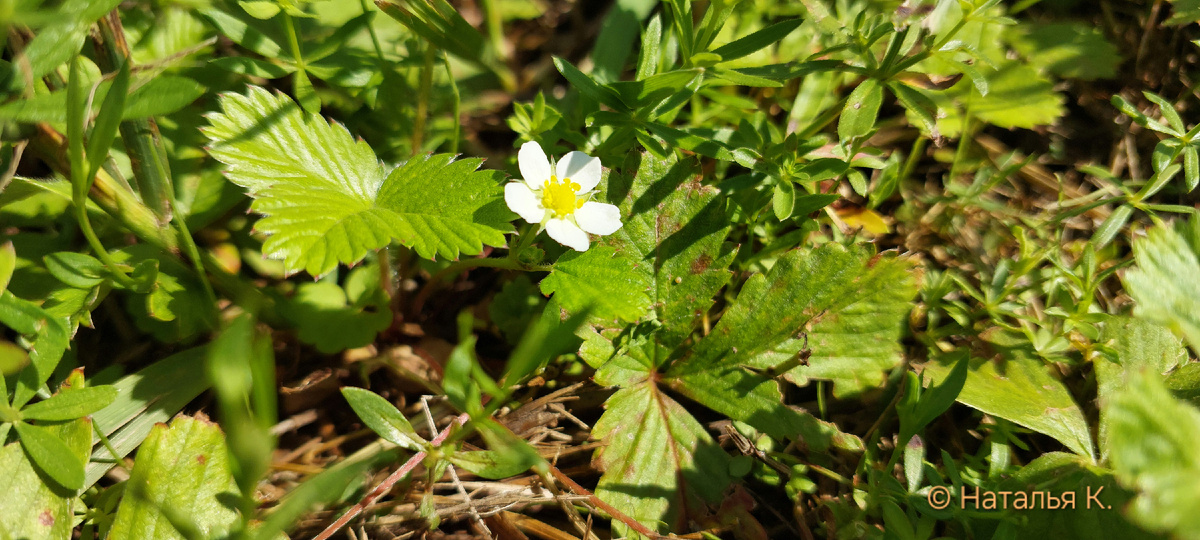 Фото автора канала