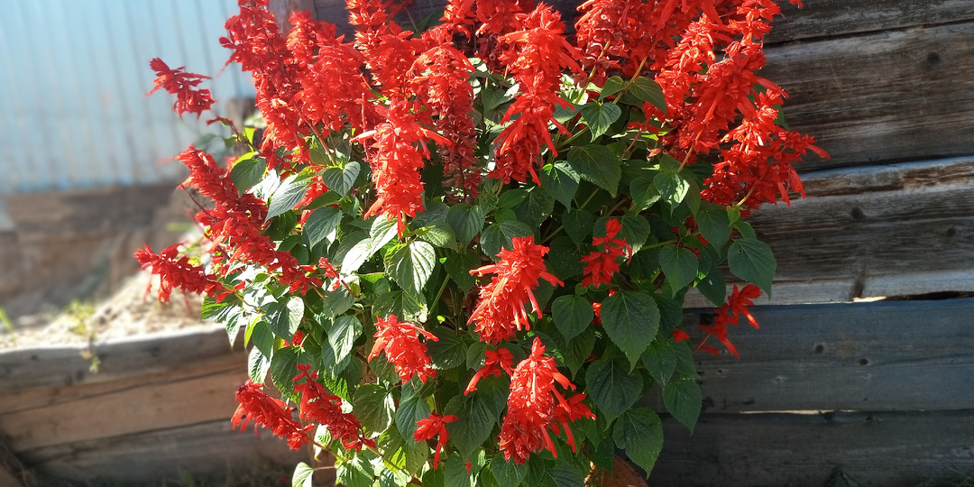 Теперь он, не стесняясь и не боясь опозорить даму своего беспутного сердца, ставил внедорожник под окнами её дома. Её, и её мужа.