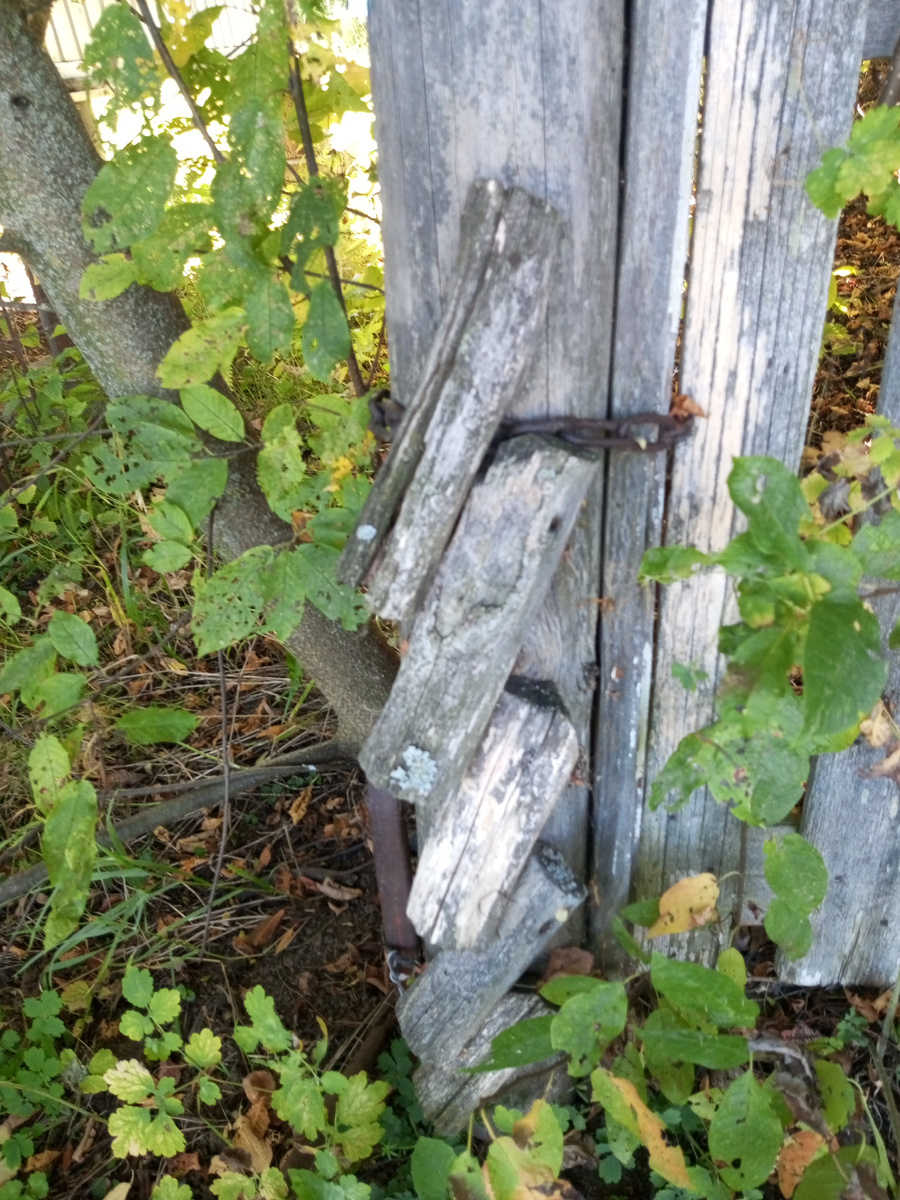 Часть старого забора. Просто чудеса калиткостроения, фото автора.