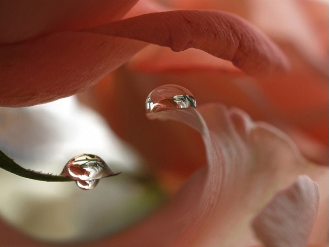 Картинка с сайта: https://pikabu.ru/story/nezhnost_5701778