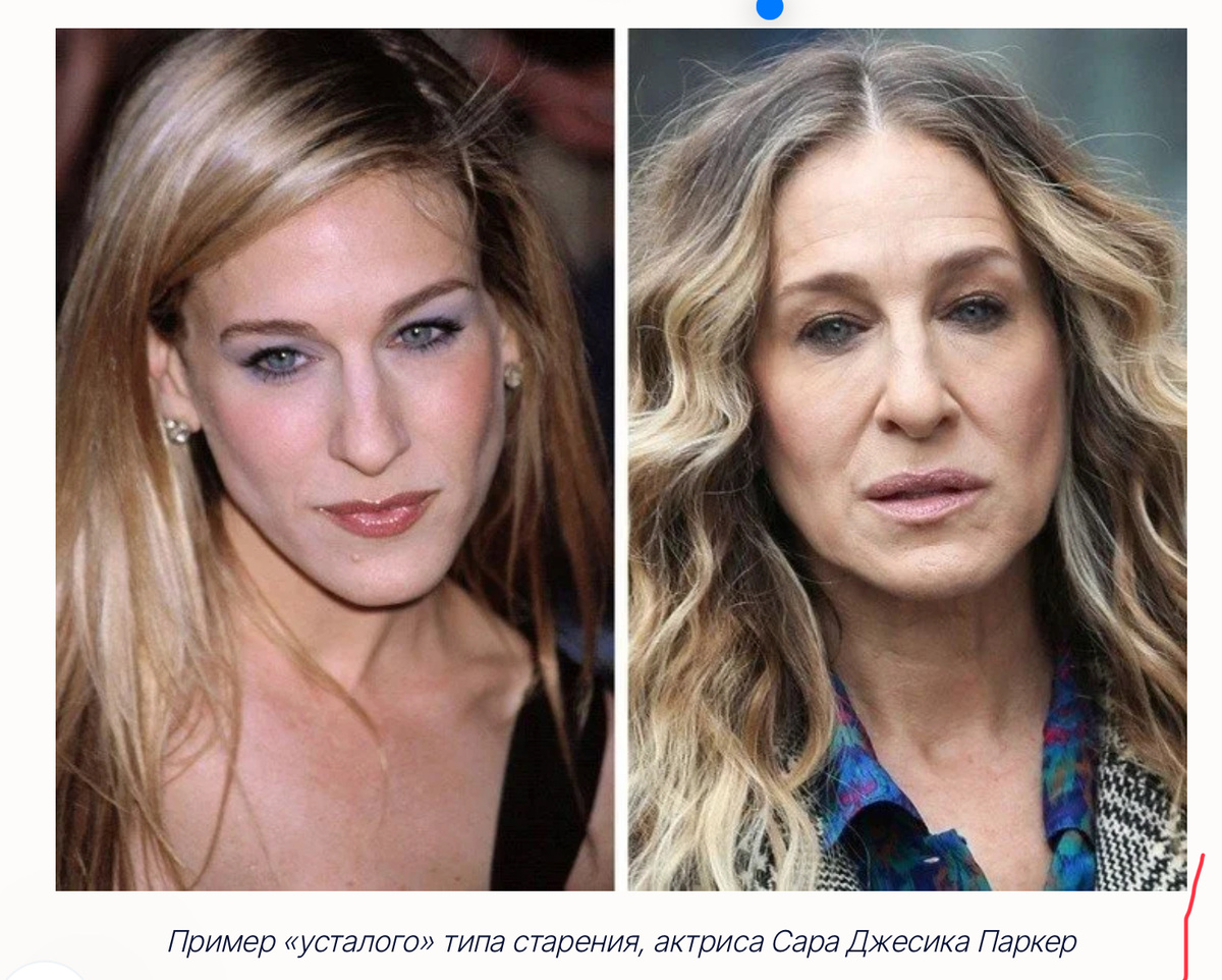 Фото из свободных источников