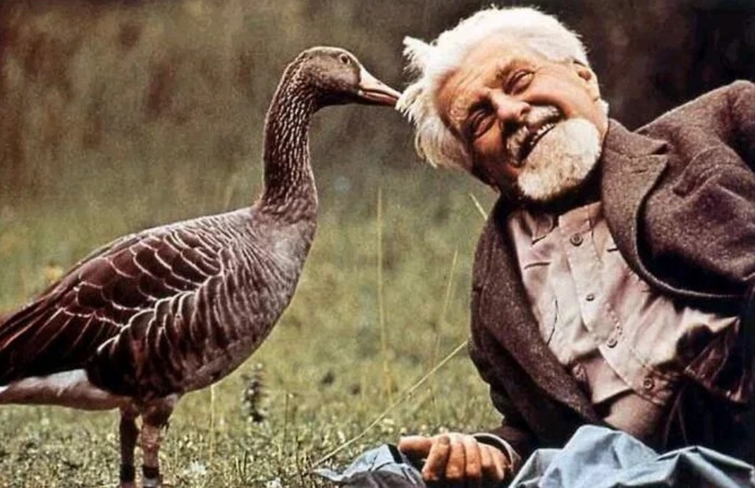 Конрад Захариас Лоренц — австрийский зоолог и зоопсихолог, один из основоположников этологии — науки о поведении животных.