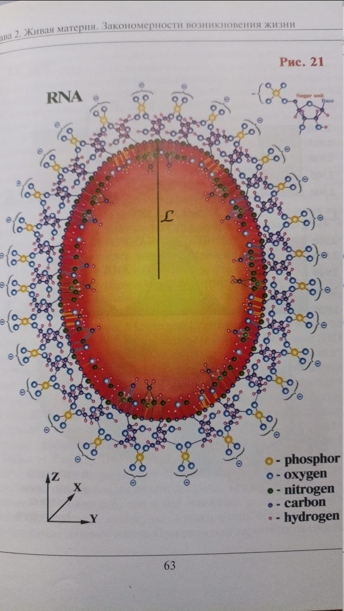 днк вид с торца, здесь разбираются молекулы на элементарные частицы и выделяется одна из первичных материй нашего пространства.