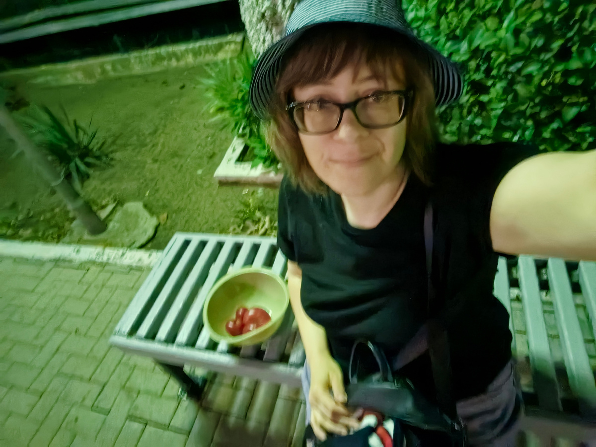 Фото из открытого общего доступа для иллюстрации 