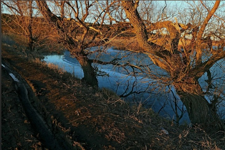    природа Редакция Газеты