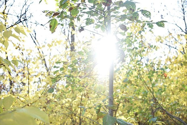    Фото Елены Врублевской Валерия Стальная