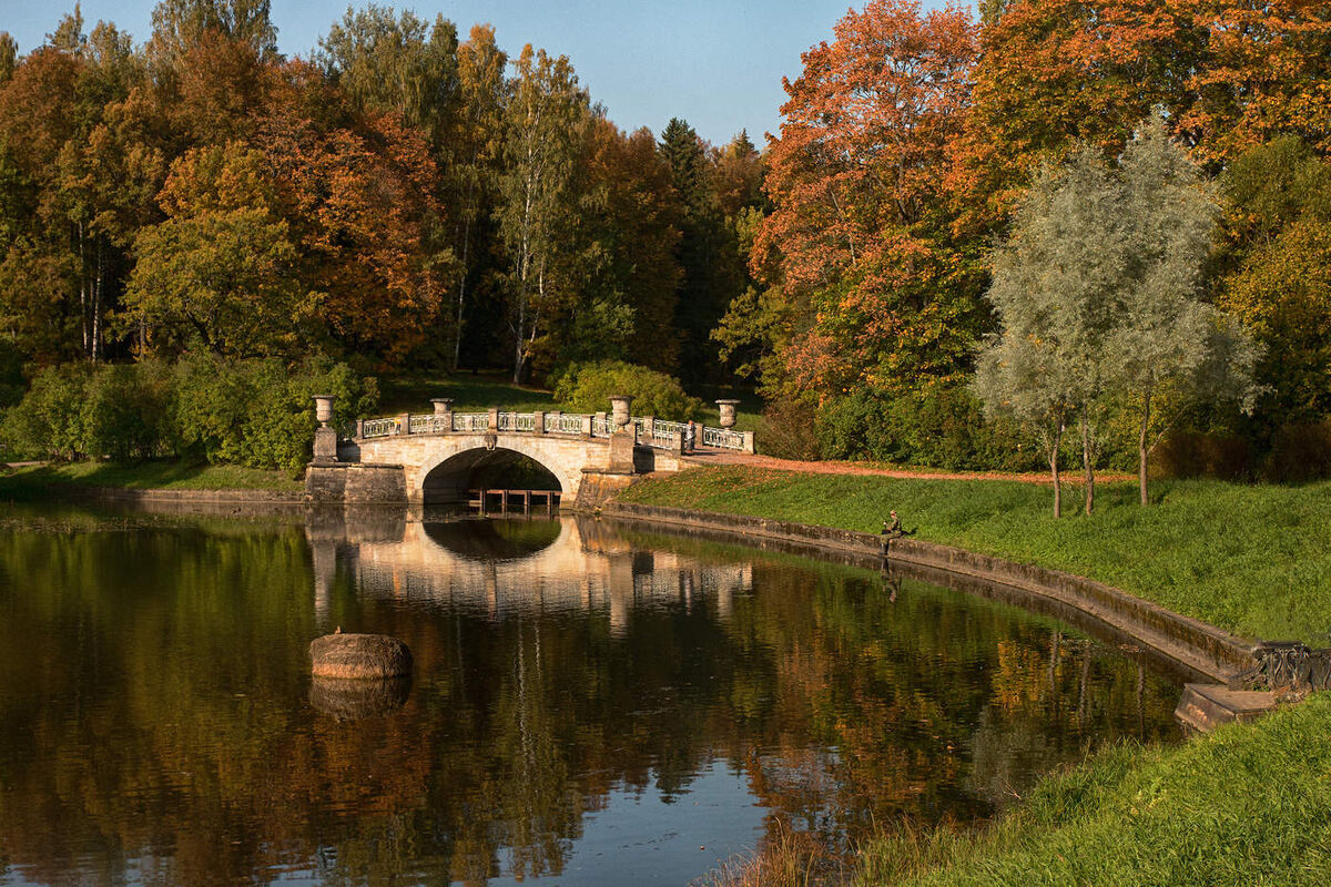 Долина реки Славянки в Павловском парке.