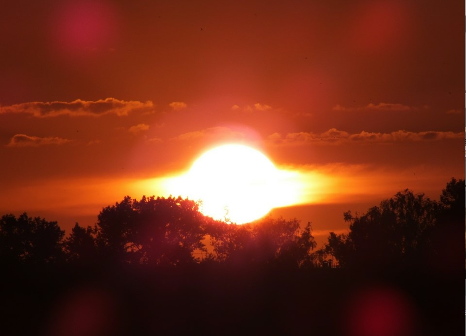    Фото: Victor Lisitsyn/Globallookpress