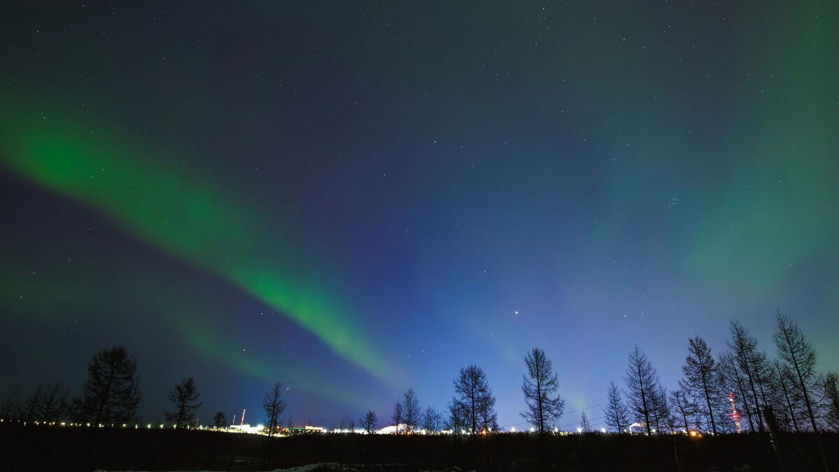    Фото: Юлия Чудинова / «Ямал-Медиа»