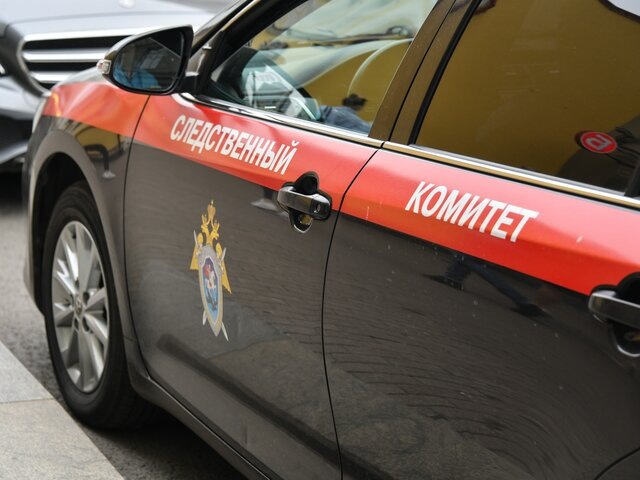    Фото: Москва 24/Антон Великжанин