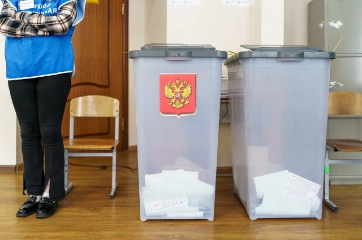    Избирком Камчатки озвучил предварительные результаты выборов губернатора