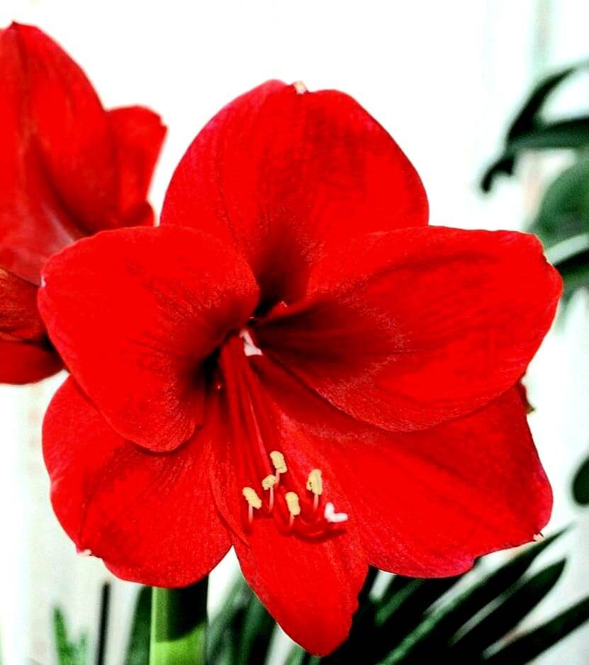 (Фото взято из открытых источников для примера)