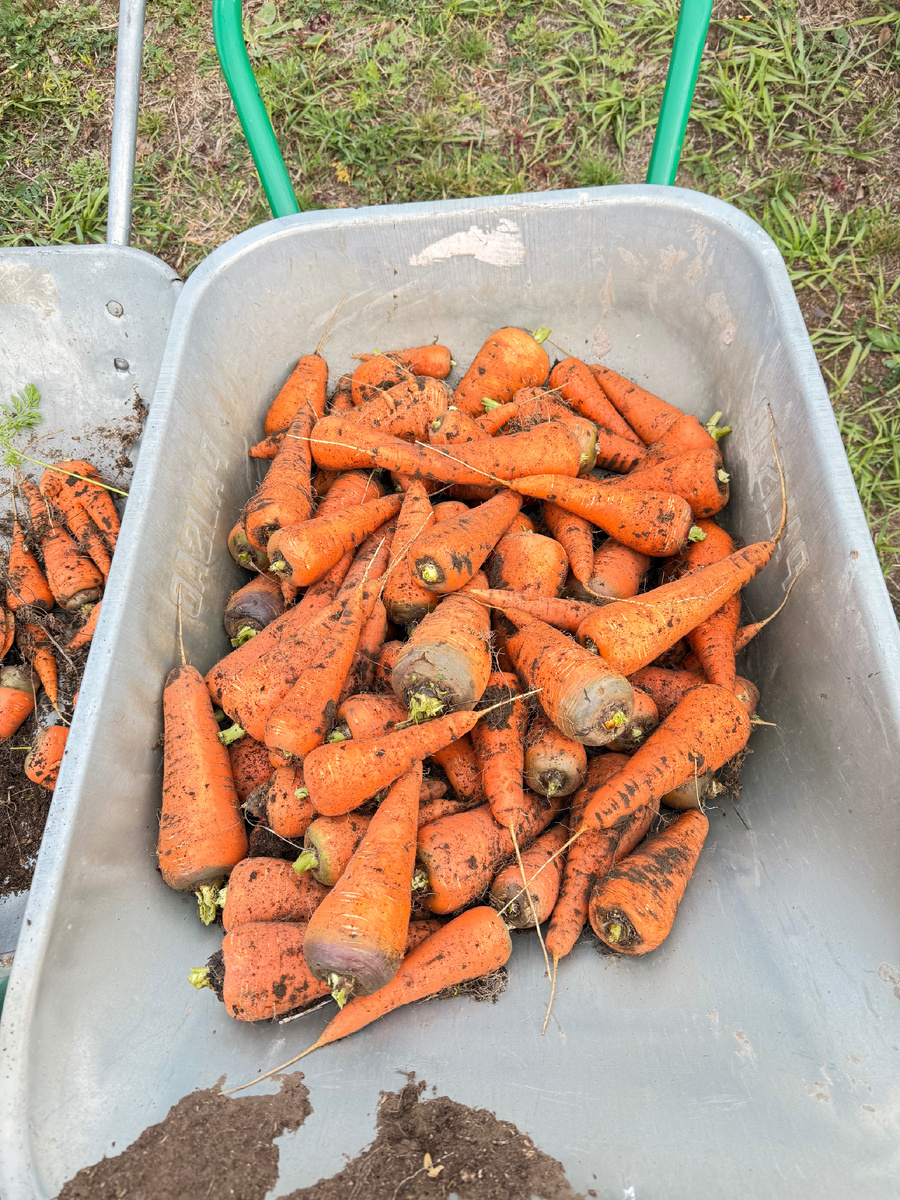 Хорошая тачка