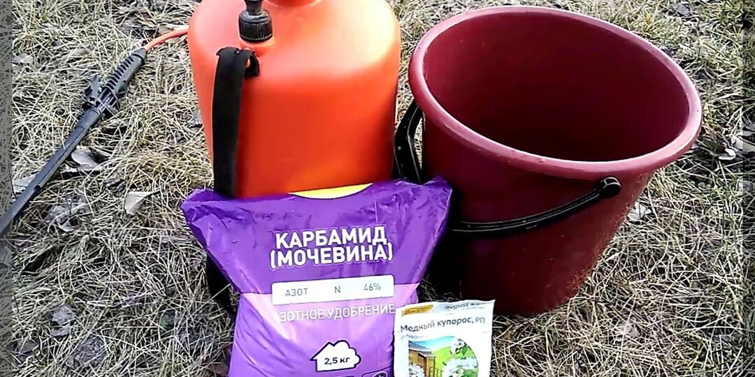 Как подготовить яблоню к зимовке: как правильно подготовить яблоню к зиме, чтобы дерево не пострадало