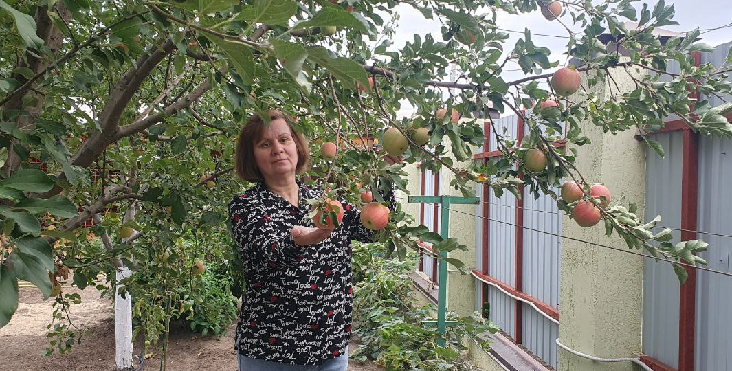 Хочешь здоровую яблоню? Сделай осенью вот это...