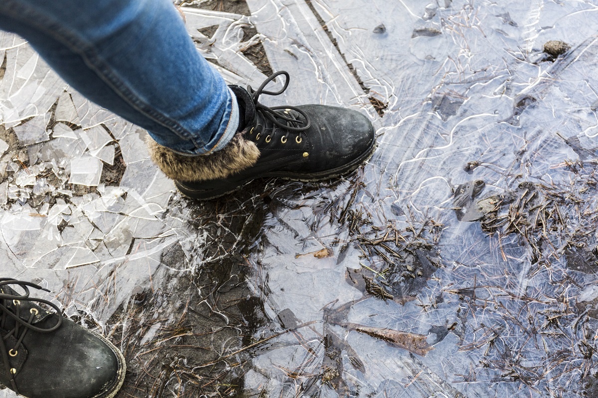    Первый лед и матовые лужи: синоптики назвали даты настоящих зимних заморозков - пора доставать пуховики