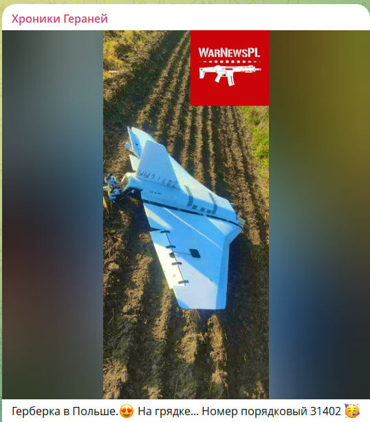    Скриншот с канала "Хроники Гераней"