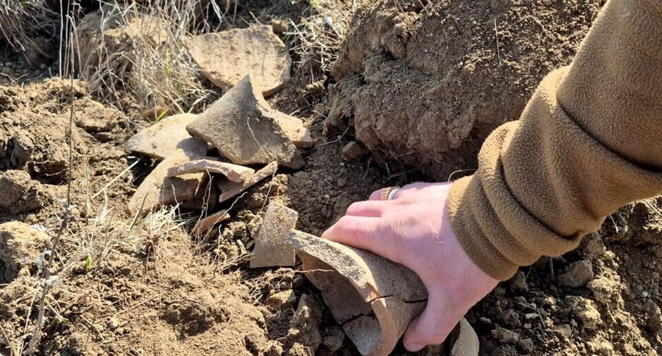    Cover Images/Keystone Press Agency / www.globallookpress.com