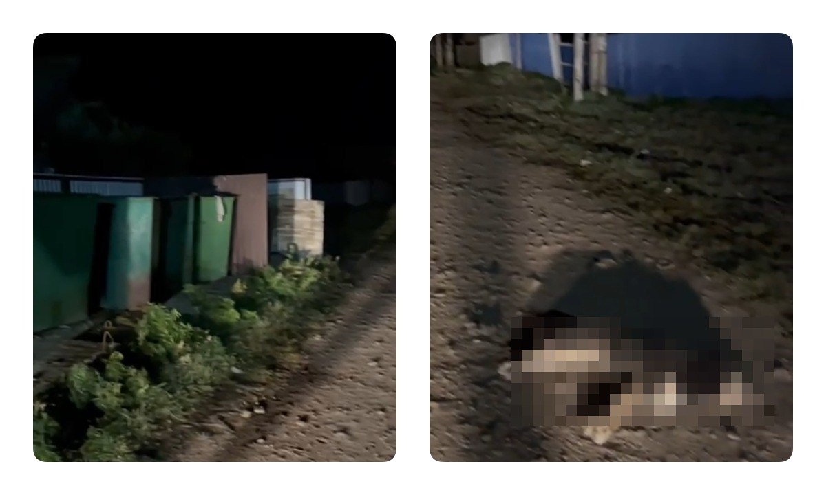 © Фото: Сергей Гончаров