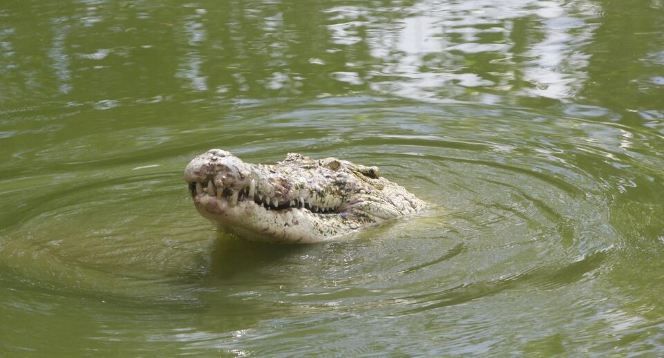    Yuli Seperi/Sijori Images / www.globallookpress.com