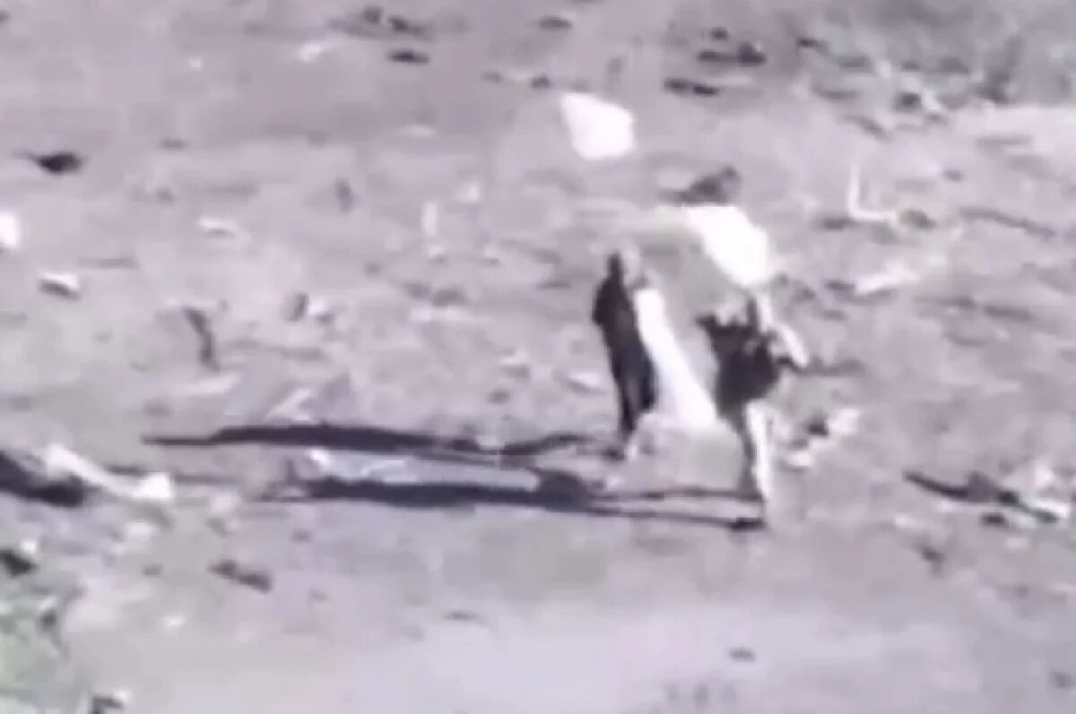    Гагин: бойцы ВСУ кричат «русские не сдаются» при отказе идти в плен