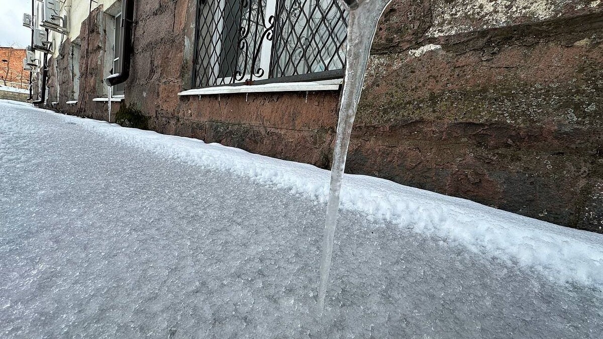    Фото: телеканал «Краснодар»