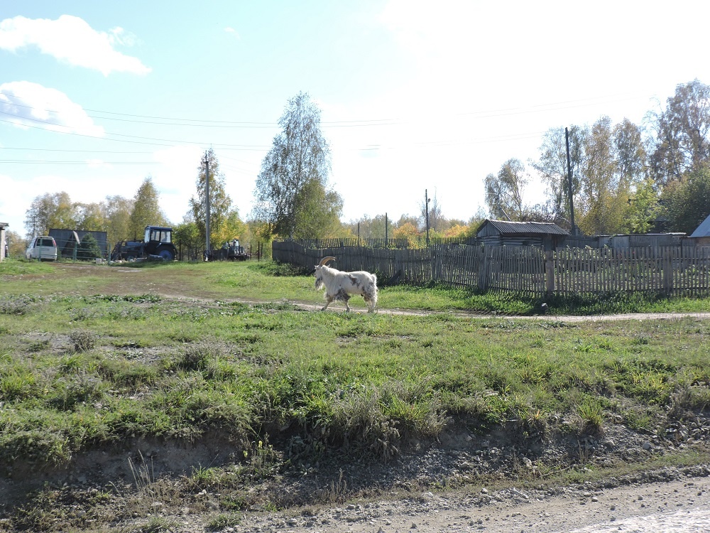    Теплую погоду обещают на этой неделе. Фото Анны Зубаревой