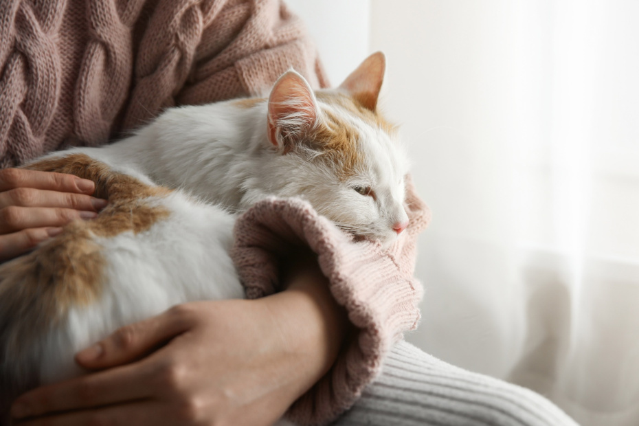    Shutterstock/FOTODOM