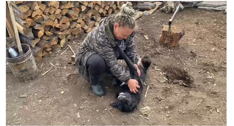 Две Шурочки