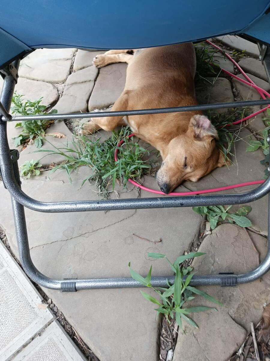 Фото автора.