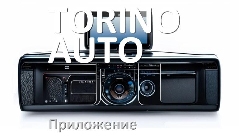 
Приложение для магнитолы TORINO AUTO на iPhone и телефон Android для подключения и настройки