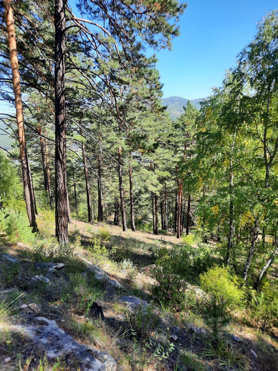 Фото автора.