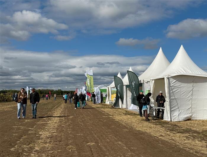    Автор фото: Александра Белова