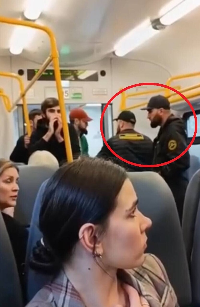 красным обведены оранниики элетропоезда