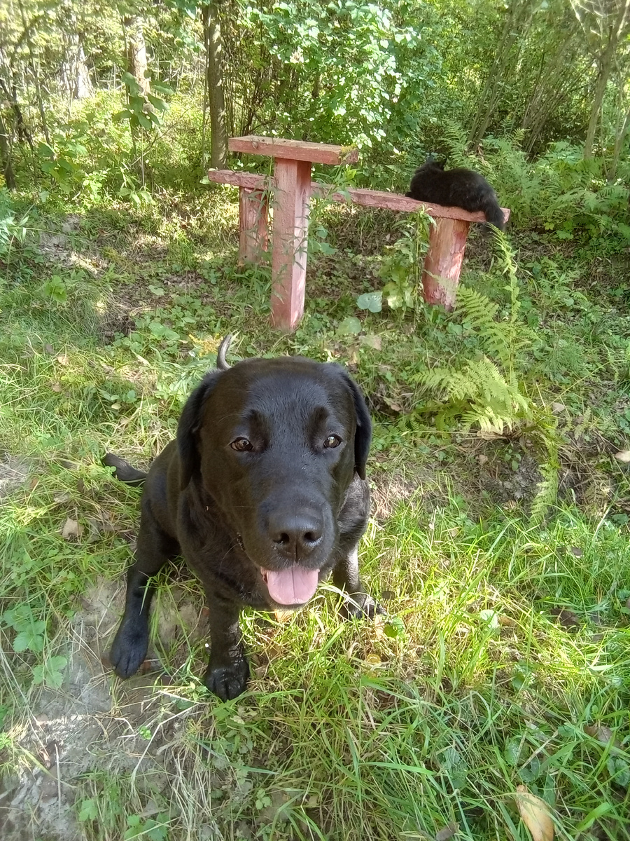 Фото автора. 