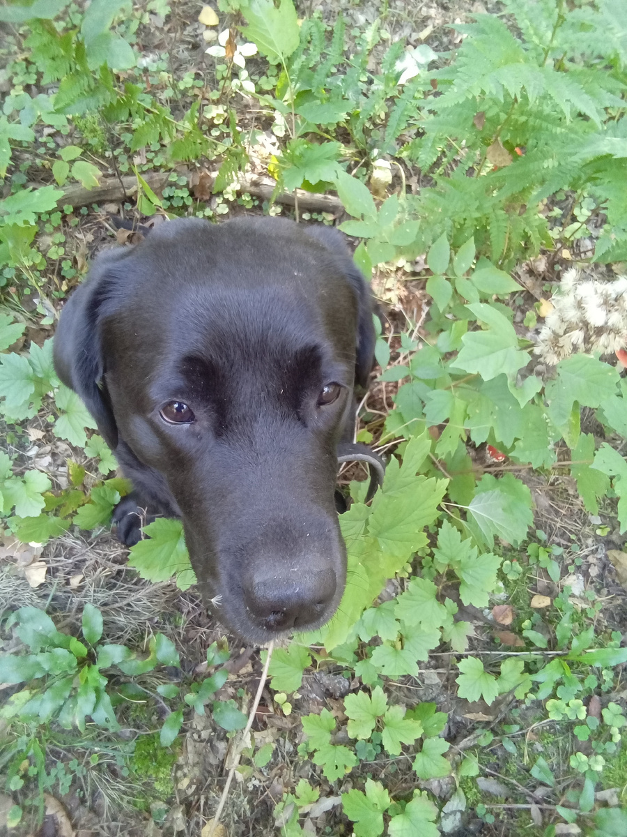 Фото автора. 