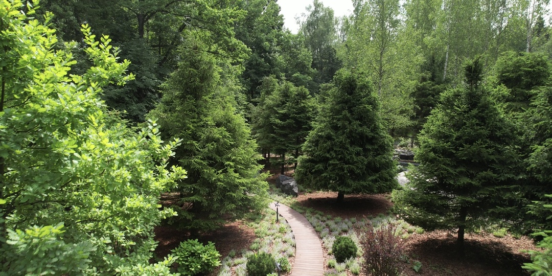 Устройство дорожек на лесных участках